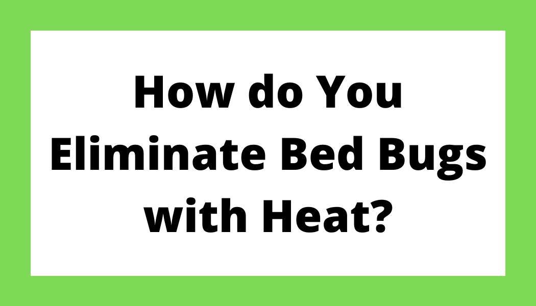 How do You Eliminate Bed Bugs with Heat